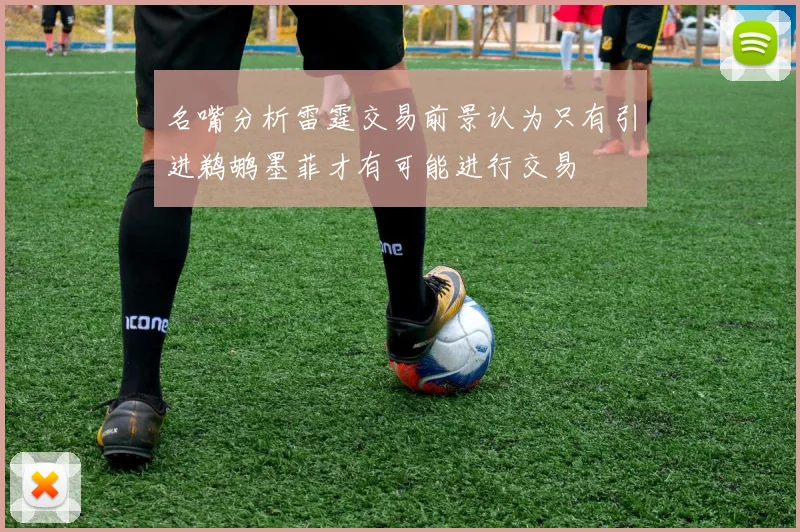 名嘴分析雷霆交易前景认为只有引进鹈鹕墨菲才有可能进行交易